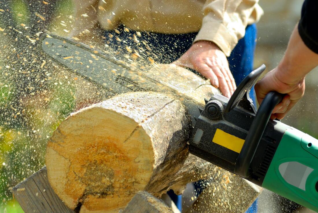 cutting tree using chainsaw
